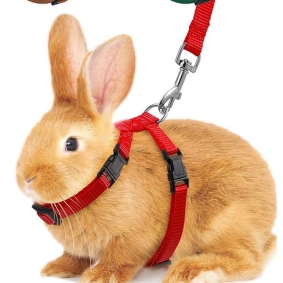 SMALL PET LEASH - Picture 5 of 5